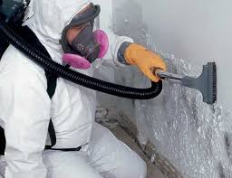 Asbestos and Lead Testing During Mold Inspection in Middletown, CT